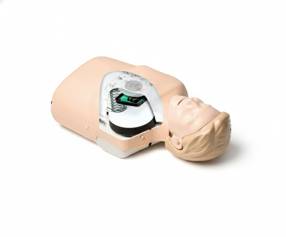 Little Family QCPR Manikin Set adult CPR training manikin with visible internal components for first aid practice.